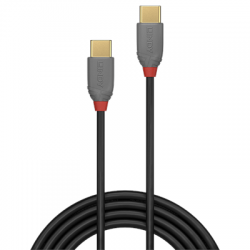 Lindy Pro USB 2.0 TYPE C TO C Cable 2 Metre